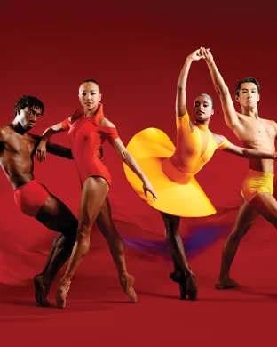 Pilobolus